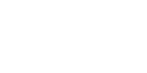Turtle Wax