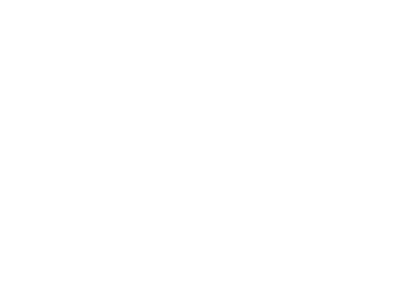 eBay Motors
