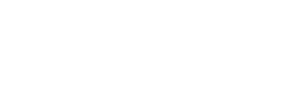 Toyo Tires