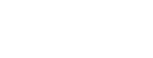 Vibrant Performance